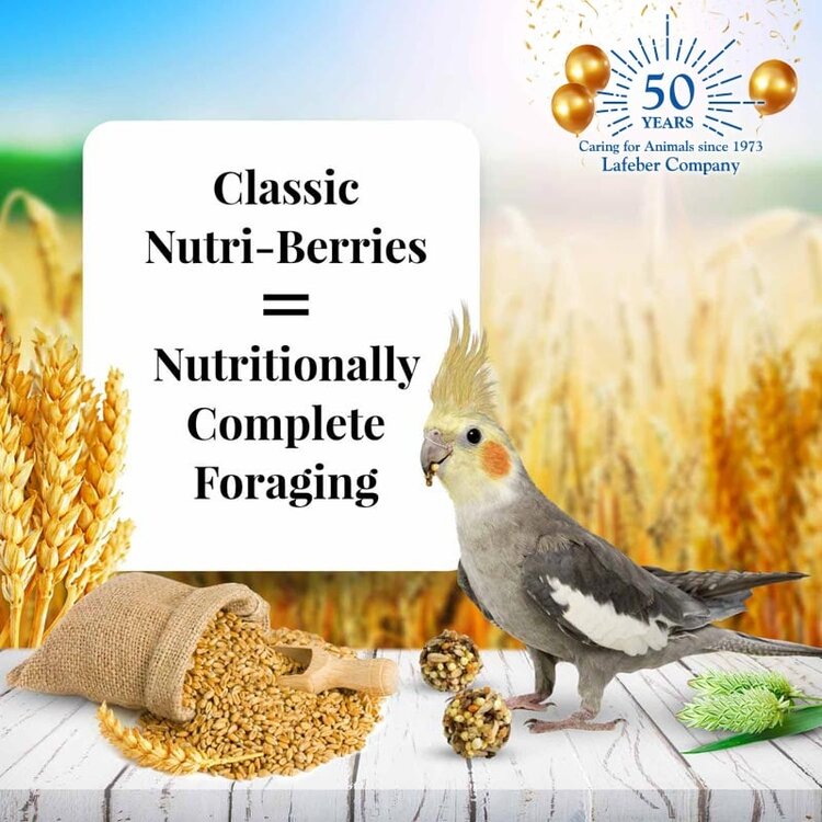 Lafeber's LAFEBER   Nutri-Berries  Cockatiel 4lb