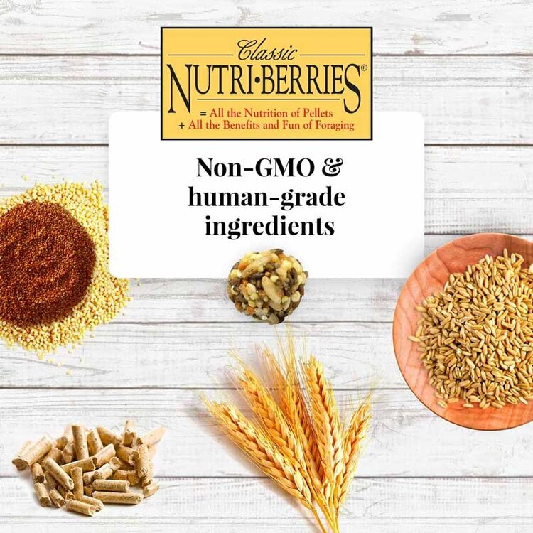 Lafeber's LAFEBER   Nutri-Berries  Cockatiel 4lb