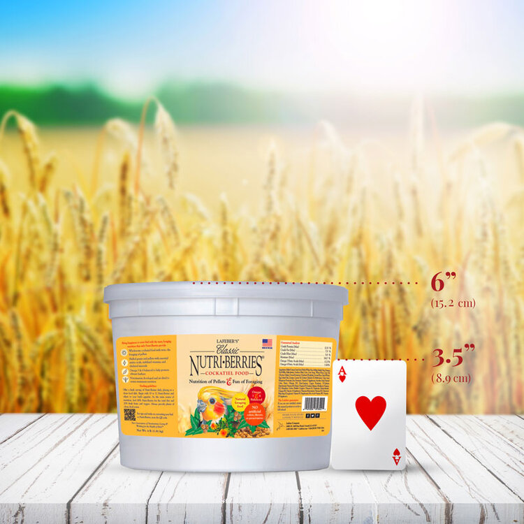 Lafeber's LAFEBER   Nutri-Berries  Cockatiel 4lb