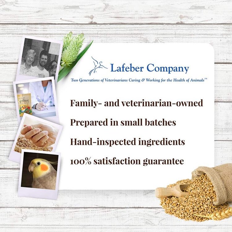 Lafeber's LAFEBER   Nutri-Berries  Cockatiel 4lb