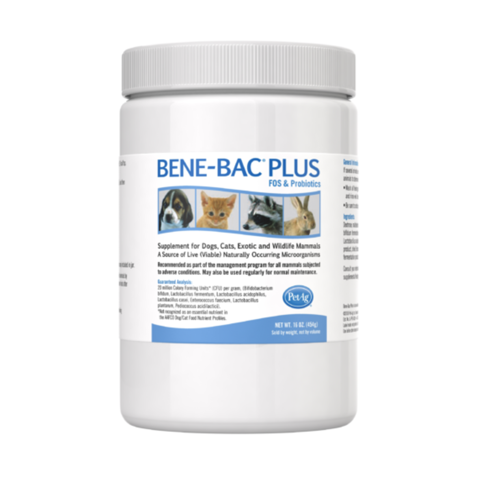PetAg Bene-Bac Plus Powder 16oz PetAg