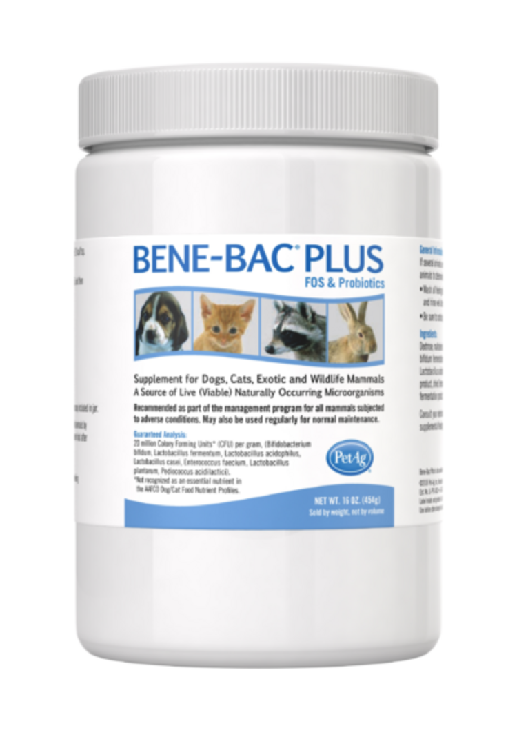 PetAg Bene-Bac Plus Powder 16oz PetAg