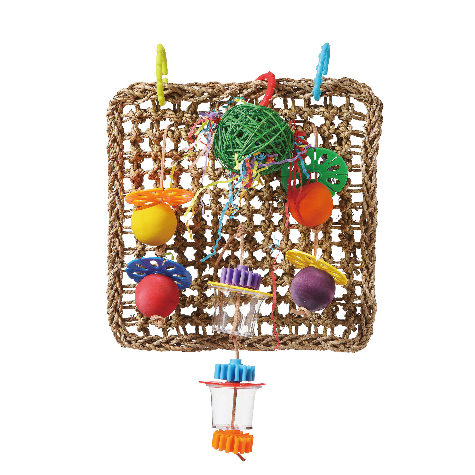 Hari Hari Smart Play Foraging Wall