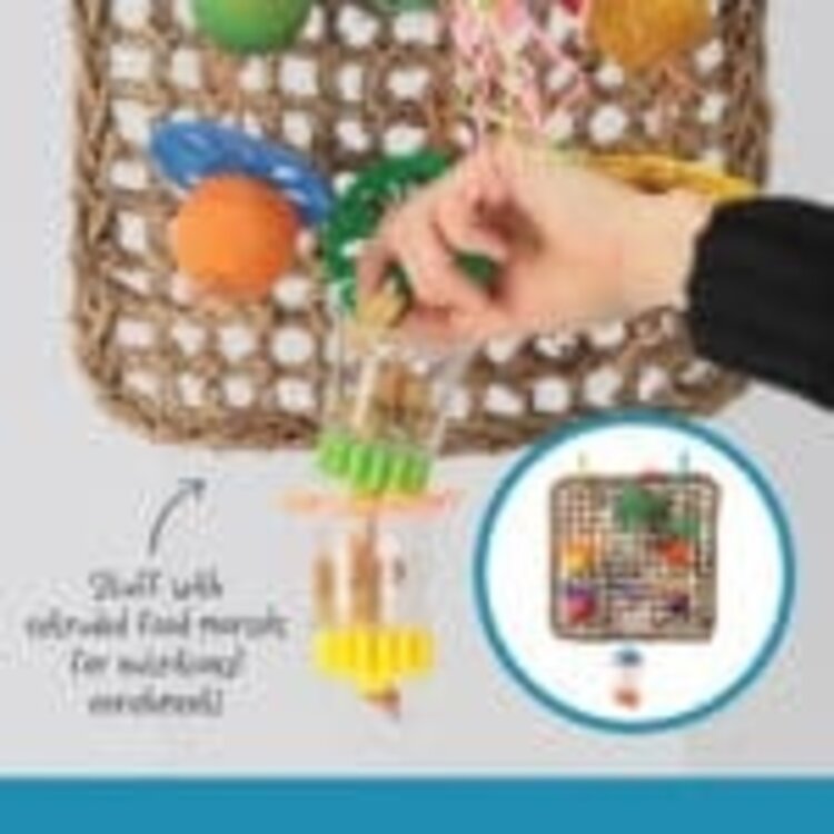 Hari Hari Smart Play Foraging Wall