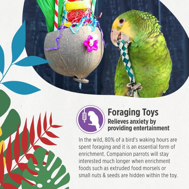 Hari Hari Smart Play Foraging Wall