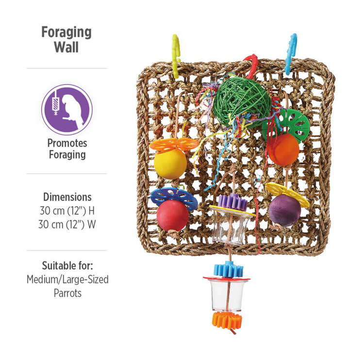 Hari Hari Smart Play Foraging Wall