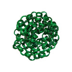 Zoo Max Zoo Max  Green Bamboo Chain  (1.7 - 2metre)
