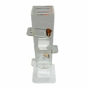 Zoo-Max Zoo Max Birdie Plunk Foraging Small 508S