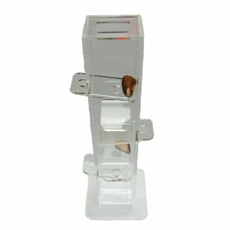 Zoo-Max Zoo Max Birdie Plunk Foraging Small 508S