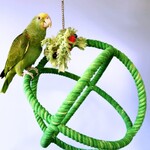 Hari Hagen HARI SMART.PLAY Enrichment Parrot Toy - Roper Orbiter Perch n Swing - Large