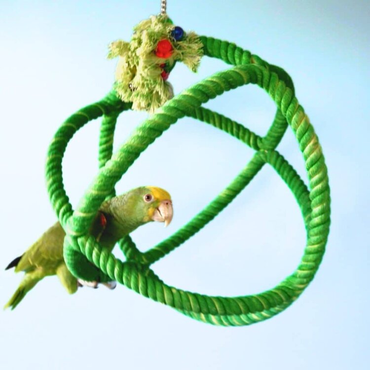 Hari Smart Play HARI SMART.PLAY Enrichment Parrot Toy - Roper Orbiter Perch n Swing - Large