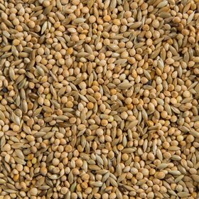 Ralph Moore RM 50-50 Budgie Mix 40lb