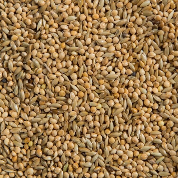 Ralph Moore RM 50-50 Budgie Mix 40lb