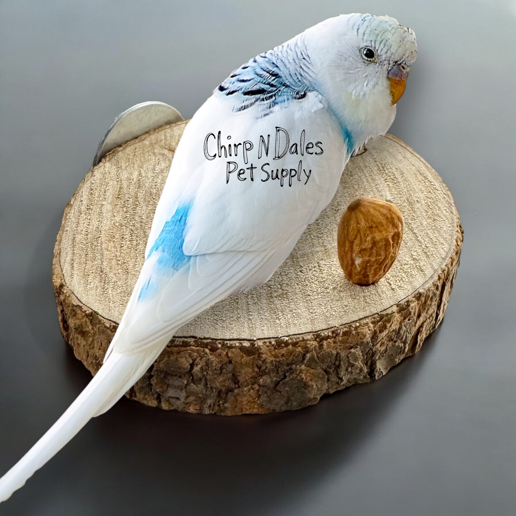 Happy Feathers Round Perch Small