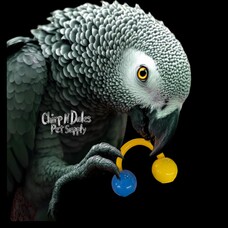 Bonkers Bonkers Big Boy Foot Toy Assorted