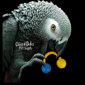 Bonkers Bonkers Big Boy Foot Toy Assorted