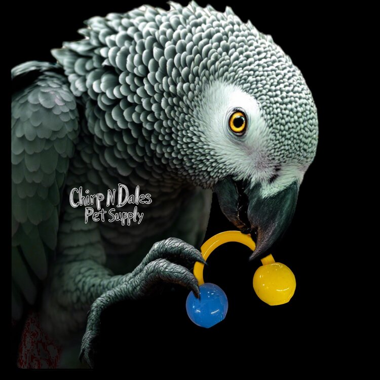 Bonkers Bonkers Big Boy Foot Toy Assorted