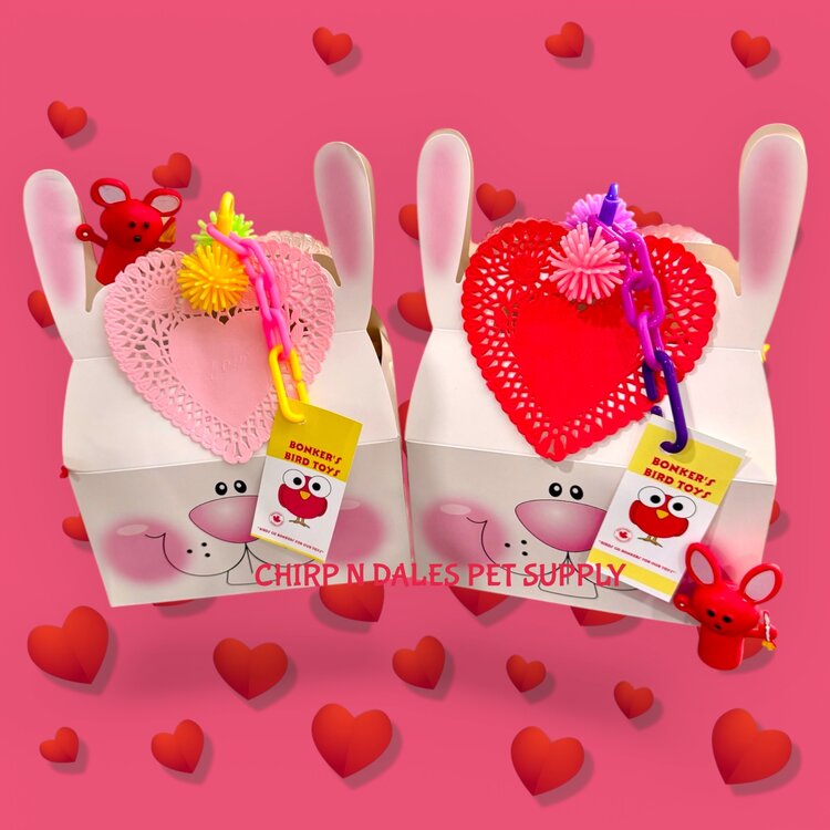 Bonkers Bonkers Valentine Loot Foraging Boxes