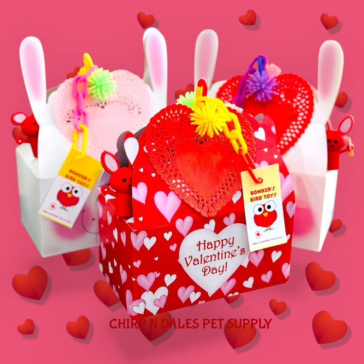 Bonkers Bonkers Valentine Loot Foraging Boxes