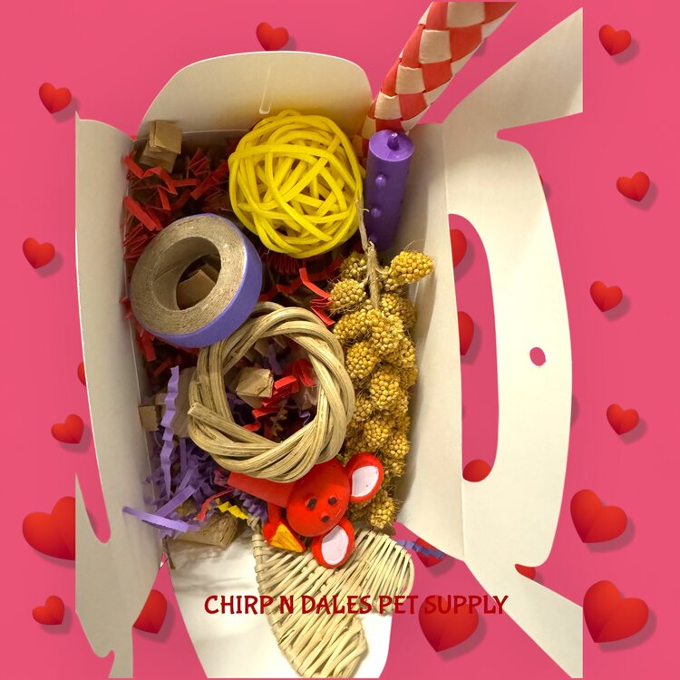 Bonkers Bonkers Valentine Loot Foraging Boxes