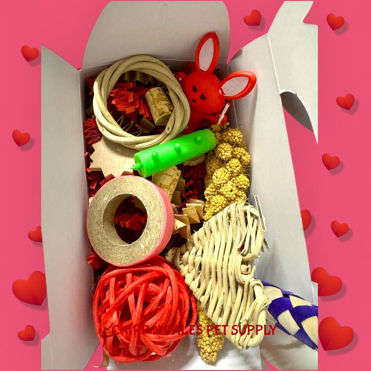 Bonkers Bonkers Valentine Loot Foraging Boxes