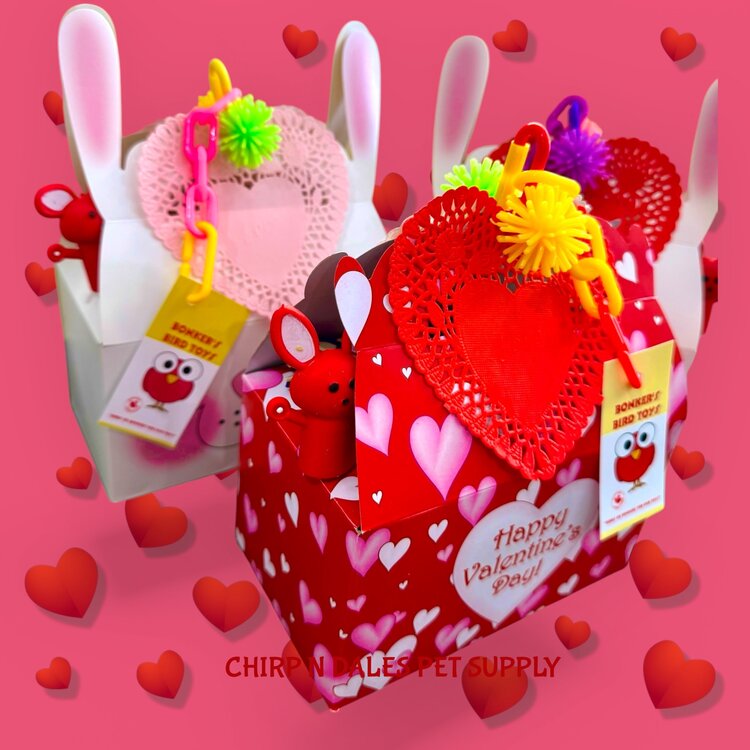 Bonkers Bonkers Valentine Loot Foraging Boxes