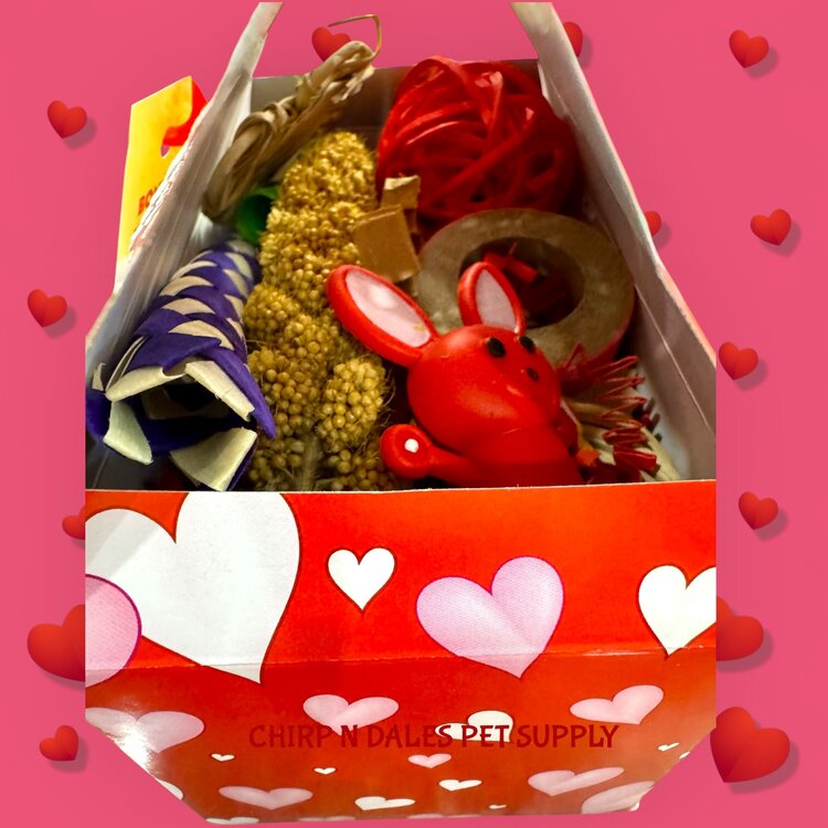 Bonkers Bonkers Valentine Loot Foraging Boxes