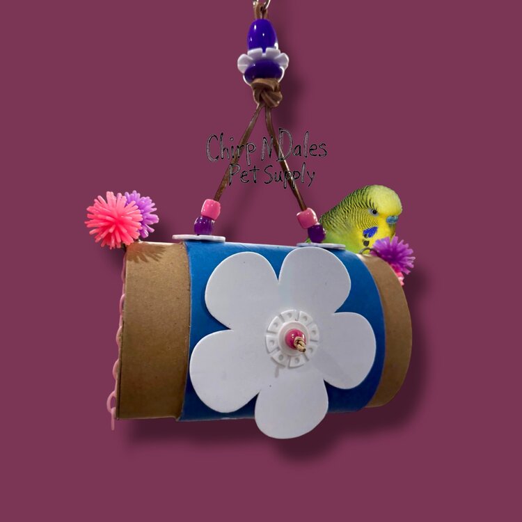 Bonkers Tunnel of Love