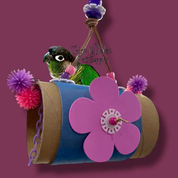 Bonkers Tunnel of Love