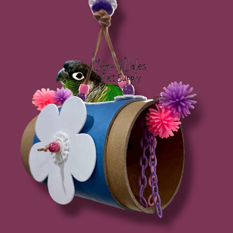 Bonkers Tunnel of Love