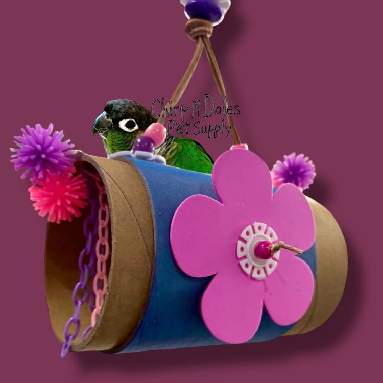 Bonkers Tunnel of Love