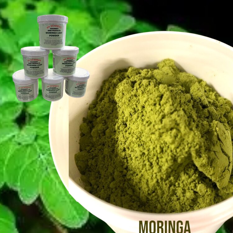My Rewards My Rewards Moringa Leaf Powder 3 oz