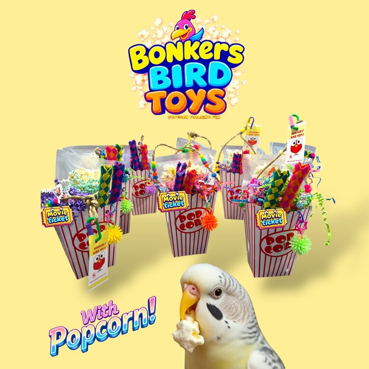 Bonkers Bonkers Popcorn Foraging Fun