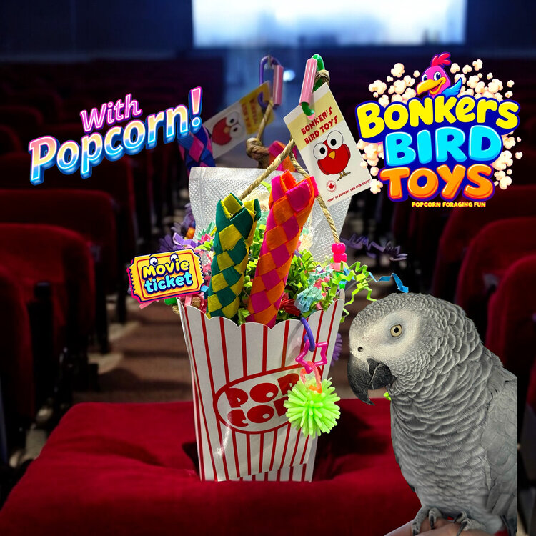 Bonkers Bonkers Popcorn Foraging Fun