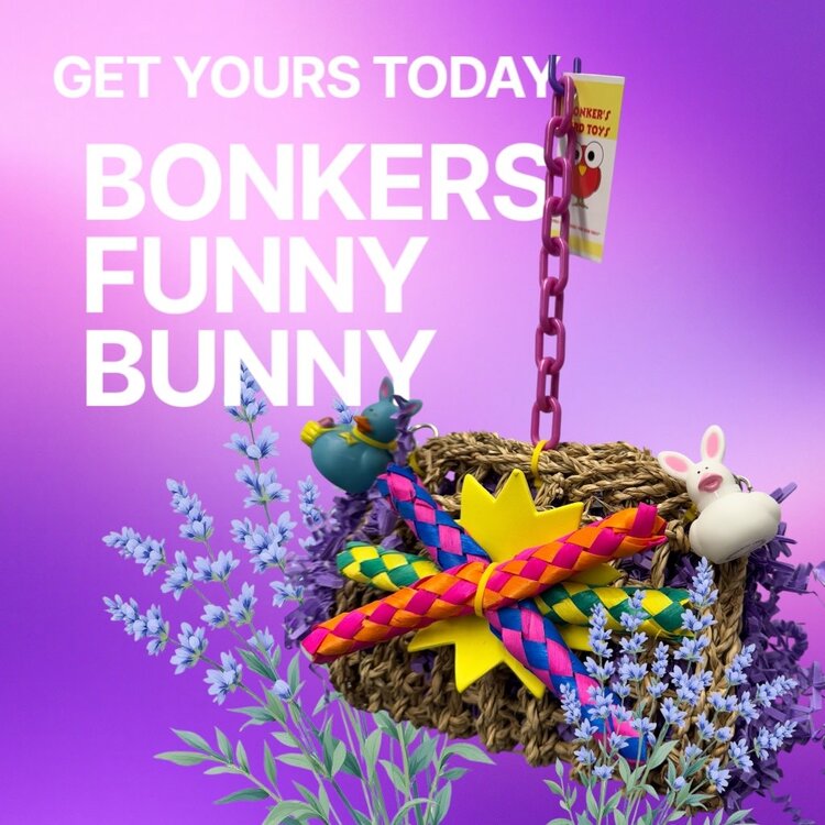 Bonkers Bonkers Funny Bunny Seagrass Foraging Bag  7” x 6”