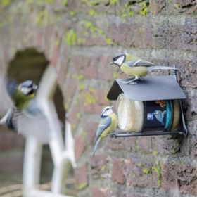 Arjan® Round with Roof Feeder 9"