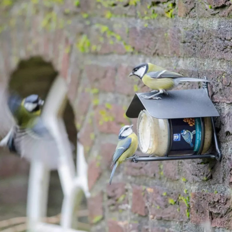 Arjan® Round with Roof Feeder 9"