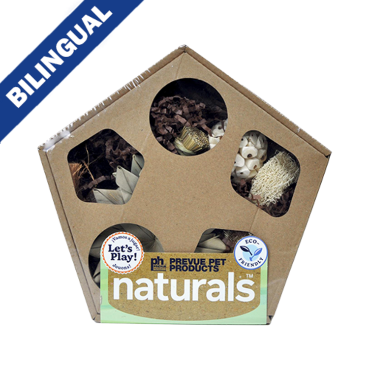 Prevue Hendryx Prevue Hendryx™ Large Pentagon Forage n Play Box