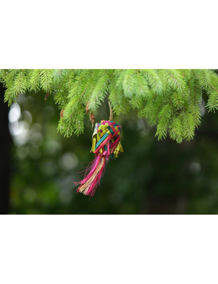 Glitter Pets Palm Egg Head Foraging Toy 2.5" x 2.5" x 10"