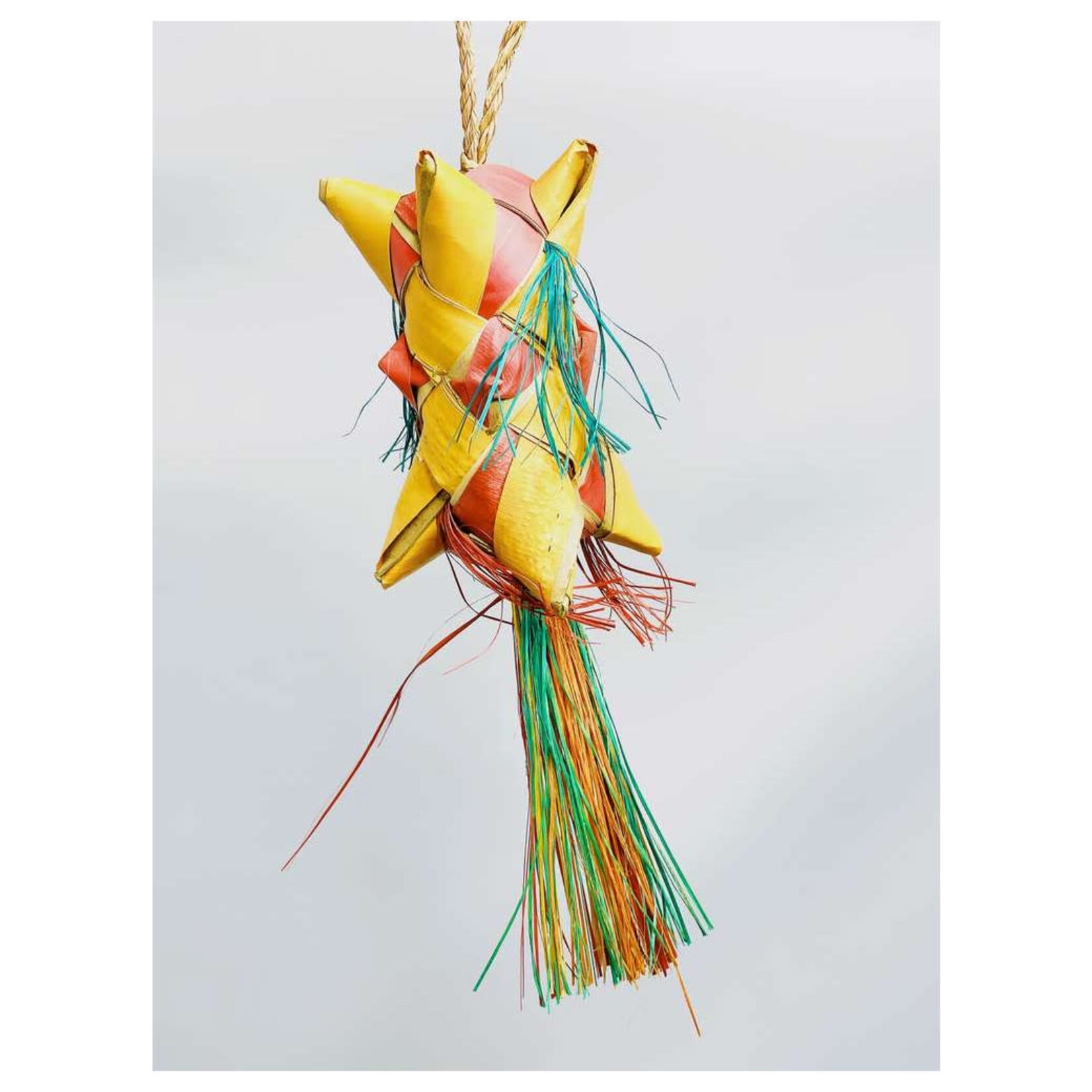 Glitter Pets Natural Palm Carnival Shredding Toy 2"x2"x9.5"