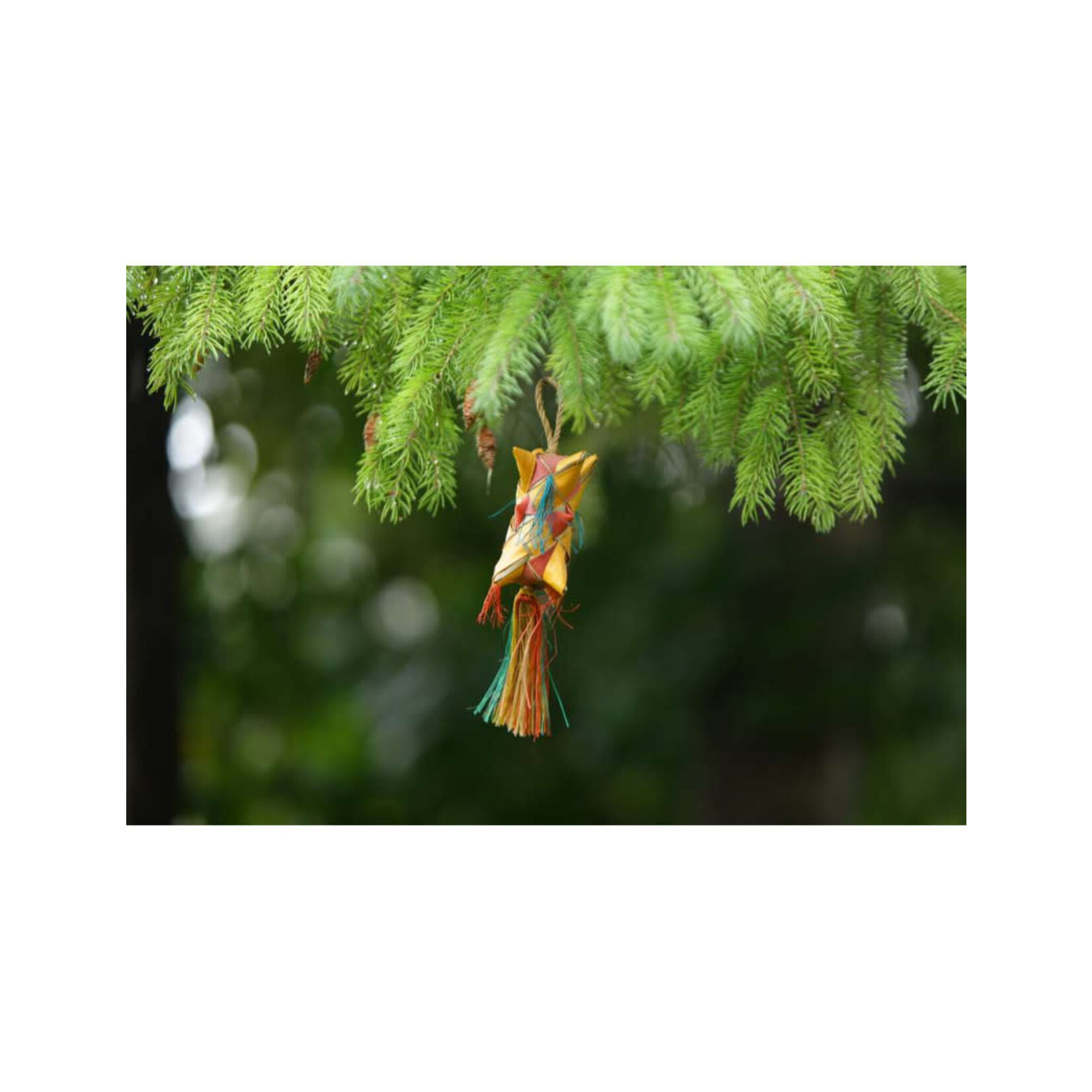 Glitter Pets Natural Palm Carnival Shredding Toy 2"x2"x9.5"