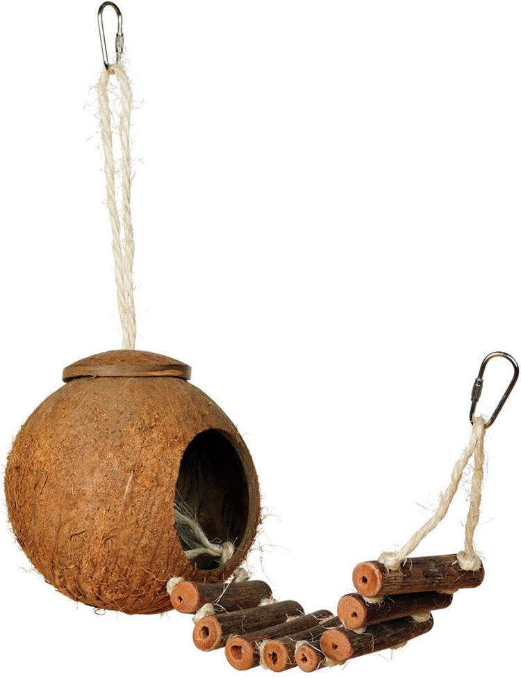 Glitter Pets (S021) Natural Coconut Hideaway Parrot Bird Toy with Ladder