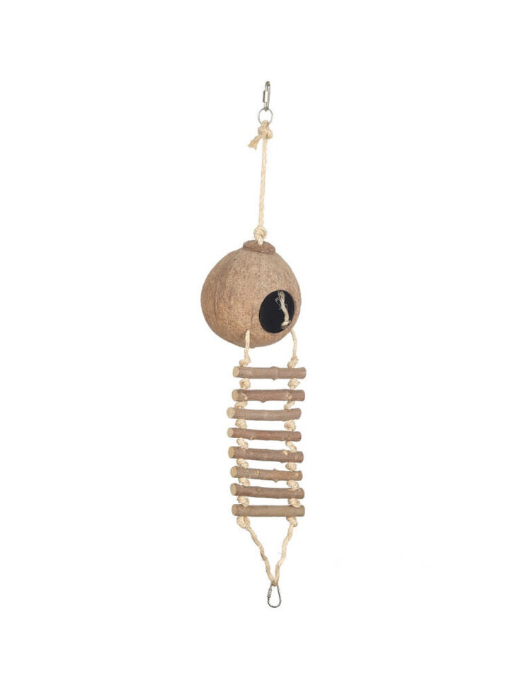 Glitter Pets (S021) Natural Coconut Hideaway Parrot Bird Toy with Ladder