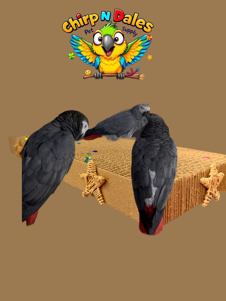 Bonkers Bonkers Jumbo Corrugated Platform Perch 19 x 7.5”