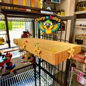 Bonkers Bonkers Jumbo Corrugated Platform Perch 19 x 7.5”