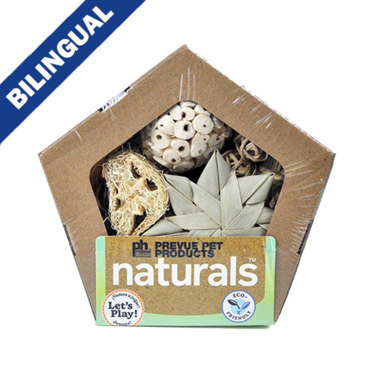 Prevue Hendryx Prevue Hendryx™ Small Pentagon Forage n Play Box