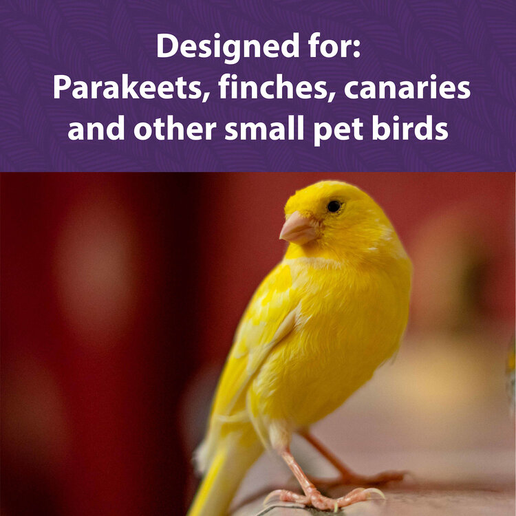 Mazuri Mazuri® Mini Bird Diet 2lb