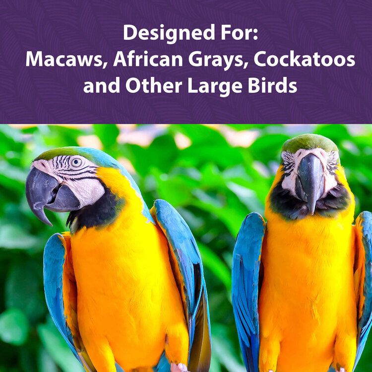 Mazuri Mazuri® Large Bird Diet 25lb