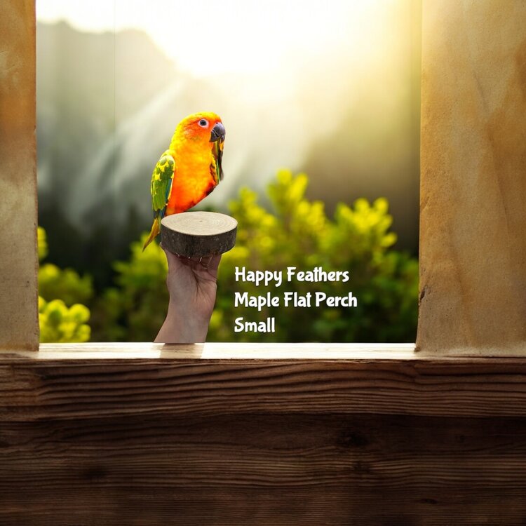 Happy Feathers Happy Feathers Maple Flat Perch Small