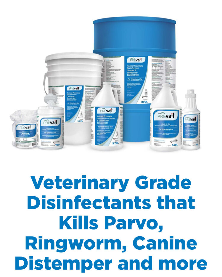 Virox Prevail™ Vet Grade Avian Disinfectant Wipes (160/PK)